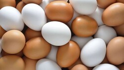 Carton de 30 Huevos